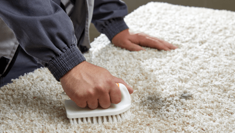 Professional Rug Cleaning Aberfeldie